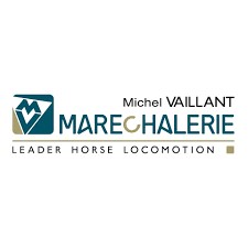 Michel Vaillant