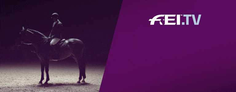 FEI TV
