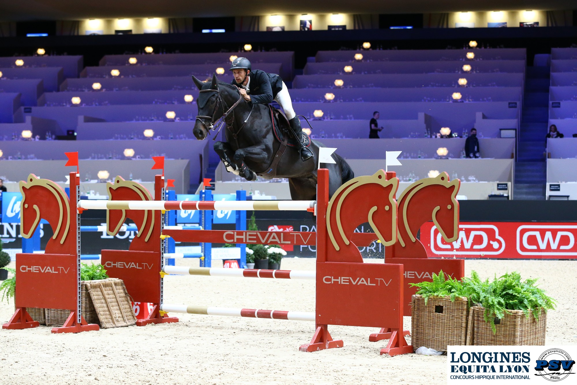 Chevaux engagés dans les courses PMU du jour