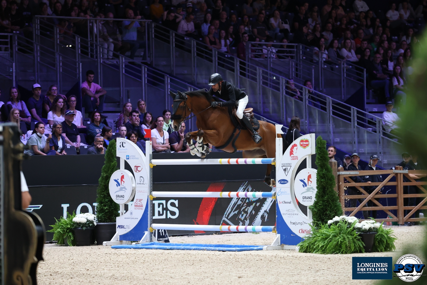 Cedric Hurel et Fantasio Floreval Z