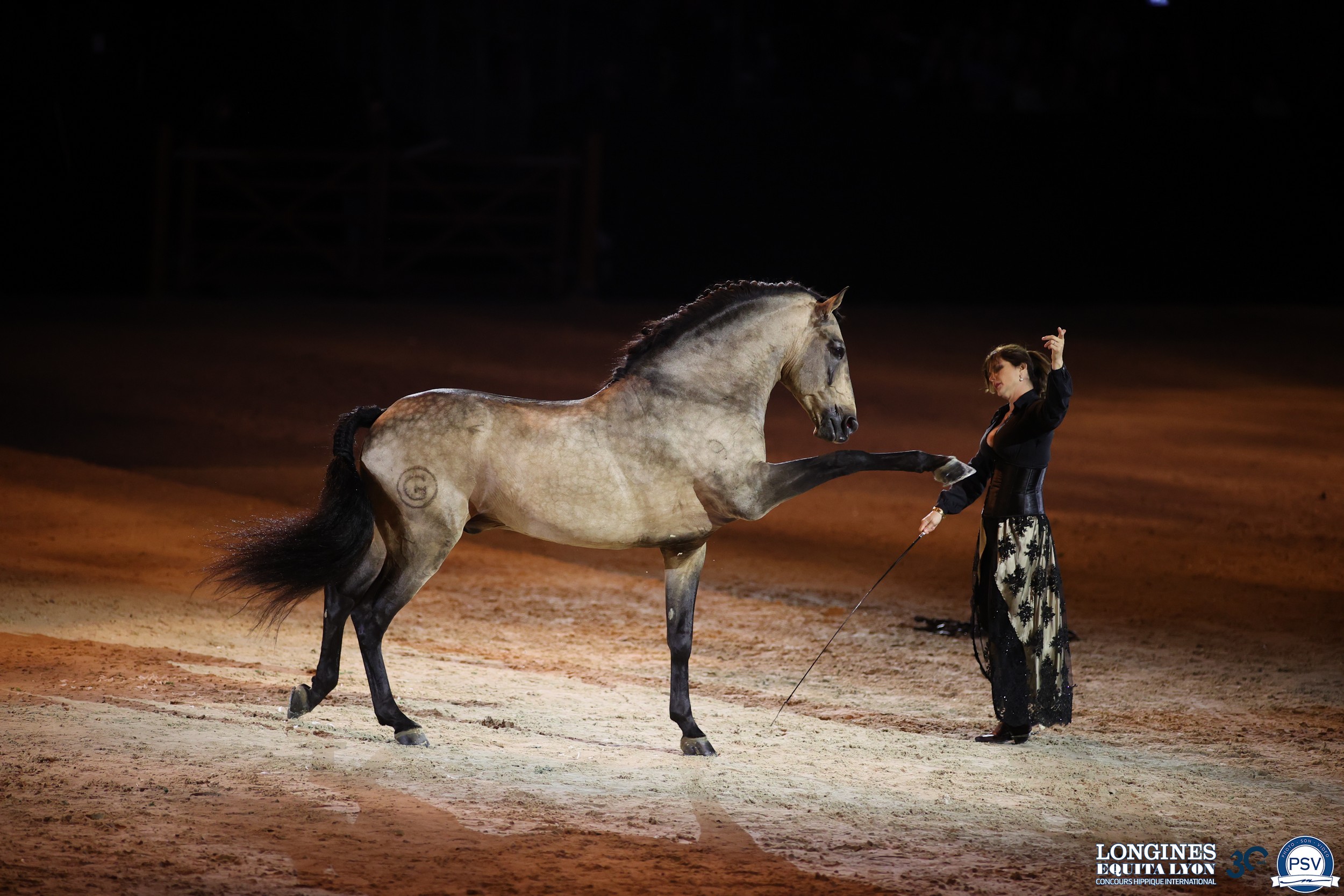 equita-spectacle-2024-2