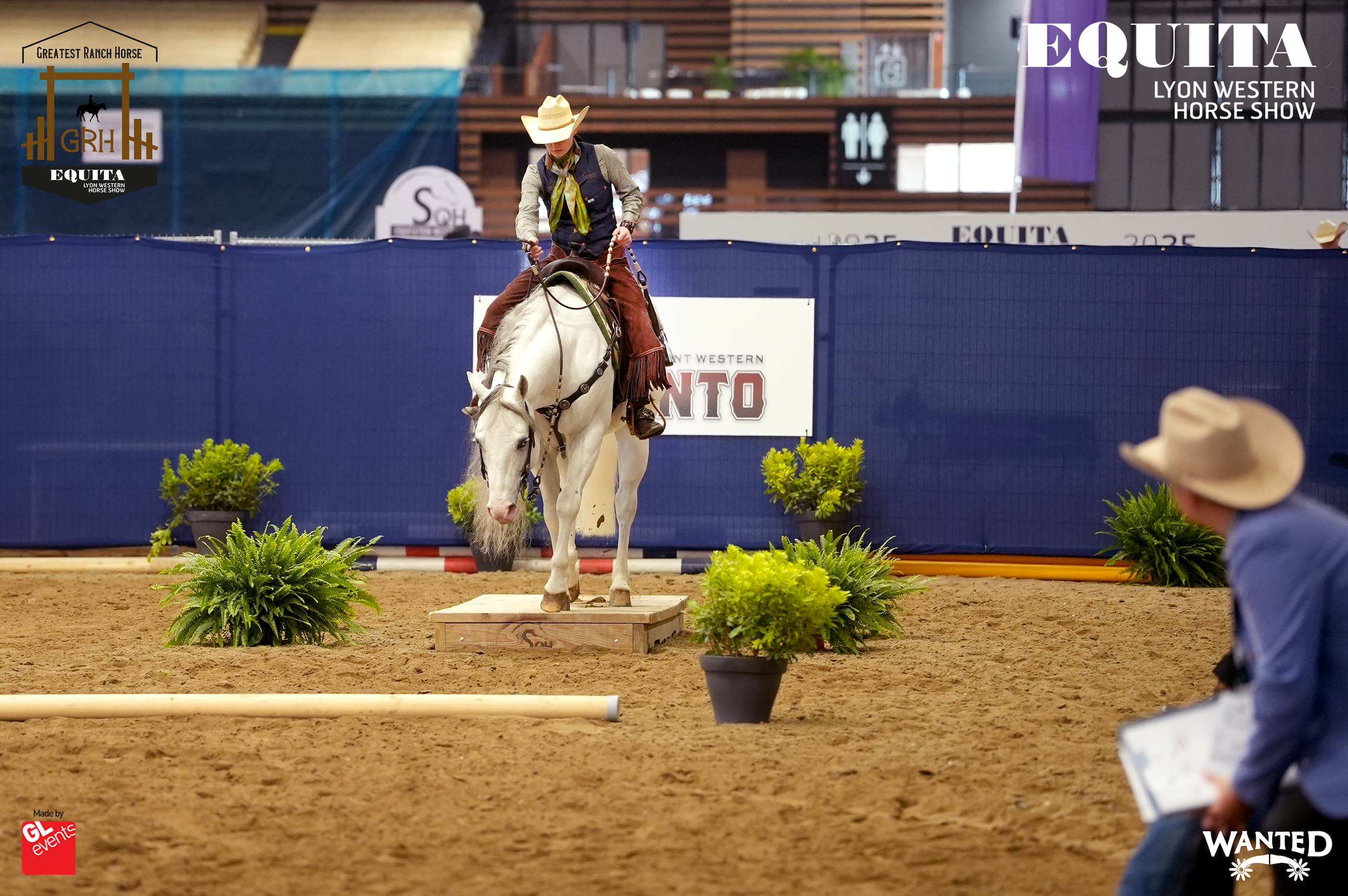 equita cup