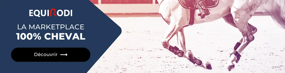 Banner web Equirodi