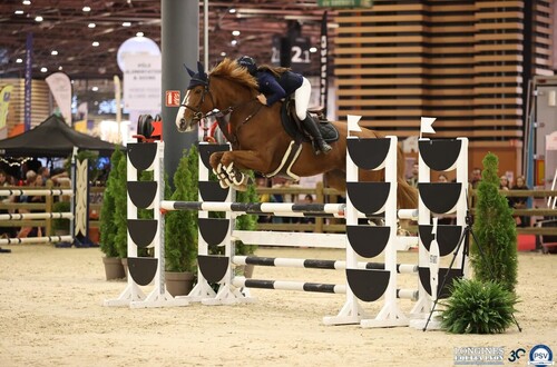 L'origine des concours hippiques : Le guide complet - Contre Galop